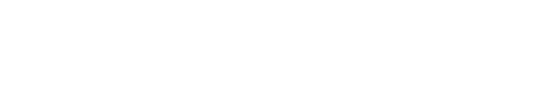 有限会社三橋自動車